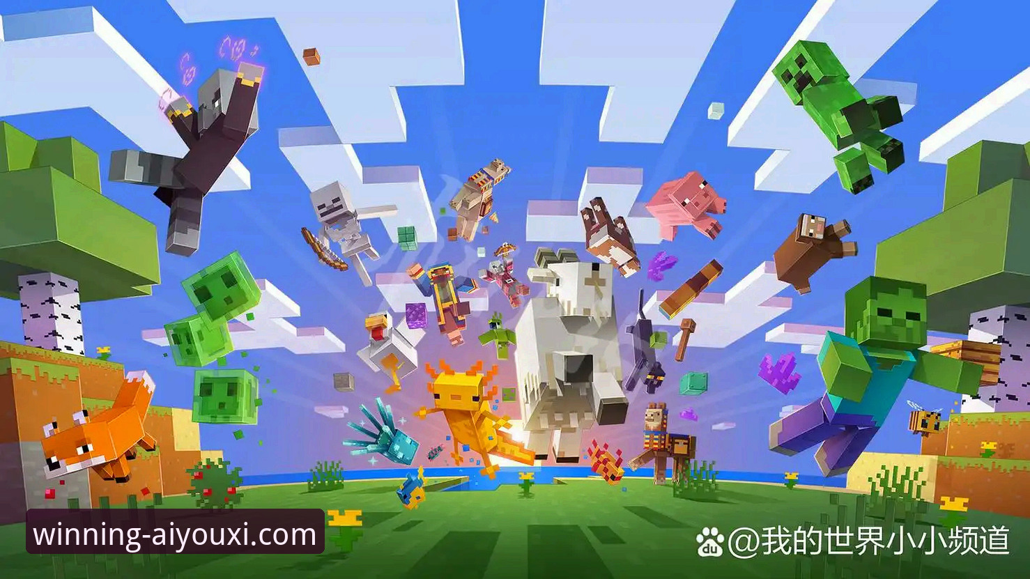 爱游戏体育使用教程 爱游戏体育平台使用指南:从注册到畅玩的完整教程